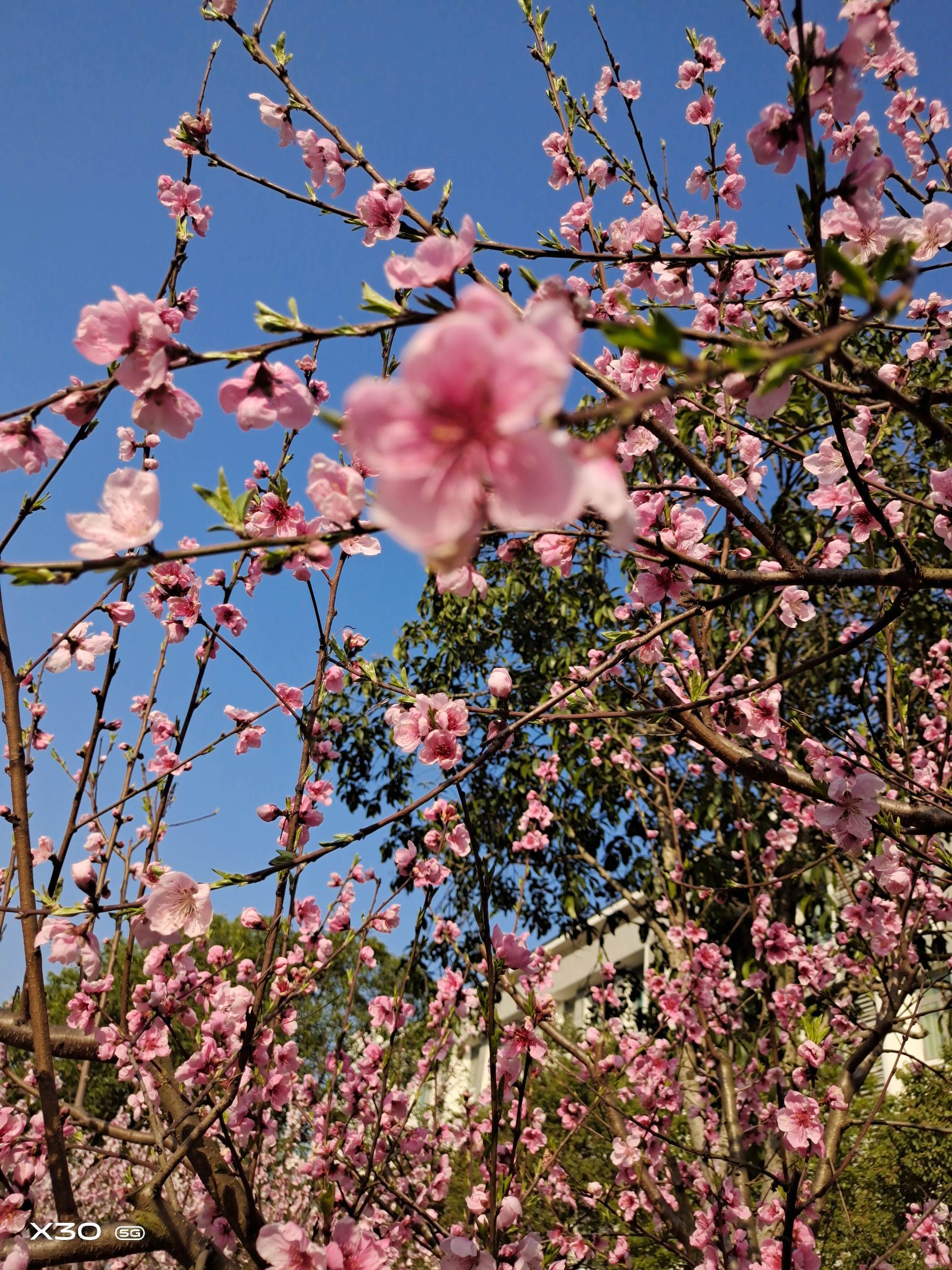 哈尼十月年_2022年3月18日_外国日期怎么看日月年