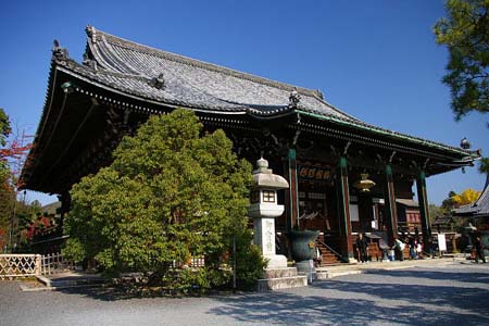 城下町的蒲公英变小_城下町的蒲公英_町城下的蒲公英