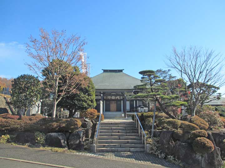 城下町的蒲公英变小_町城下的蒲公英_城下町的蒲公英