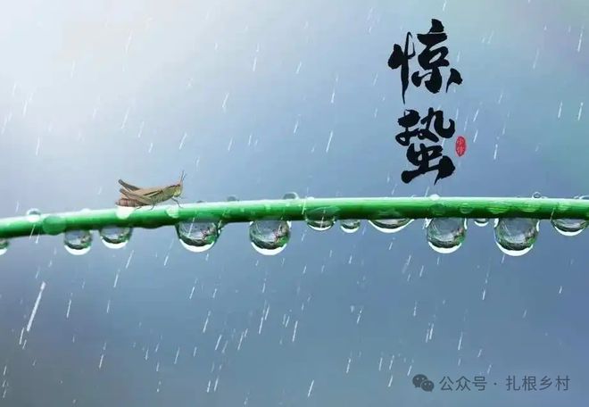 下雨清明节祭拜祖先的氛围_清明节为什么下雨_下雨清明节的日记