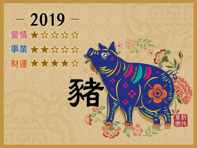 猪属于哪年出生_属猪生于年份_属猪是哪年出生的