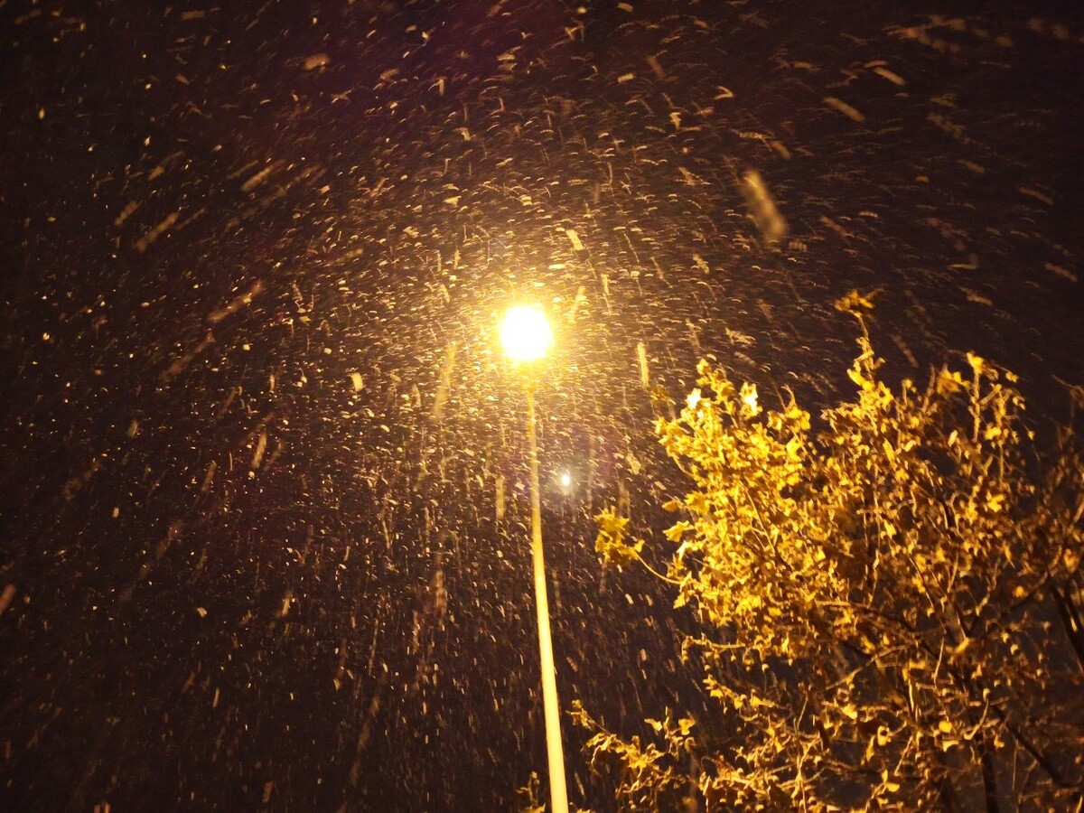 今年冬天又下雪了_今年冬天下雪吗_今年冬天下雪大不大