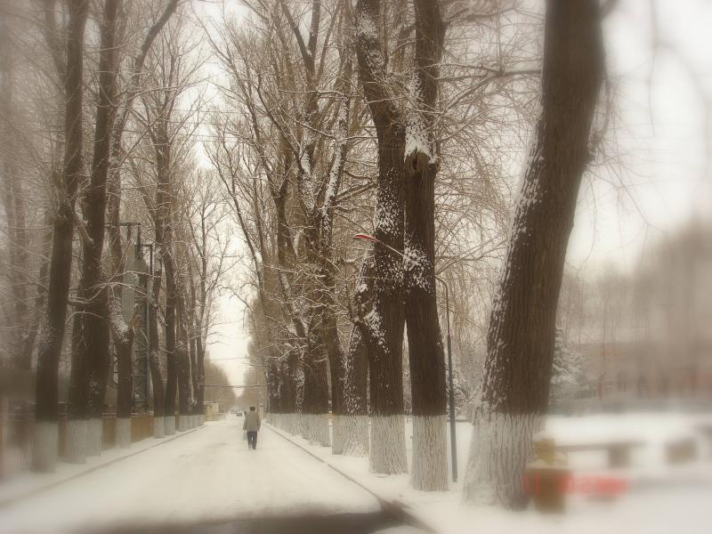 今年冬天下雪大不大_今年冬天下雪吗_今年冬天又下雪了