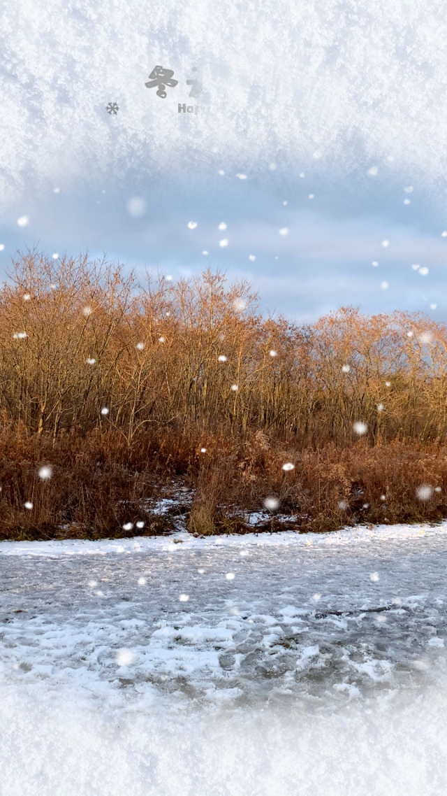 今年冬天下雪吗_今年冬天下雪大不大_今年冬天又下雪了