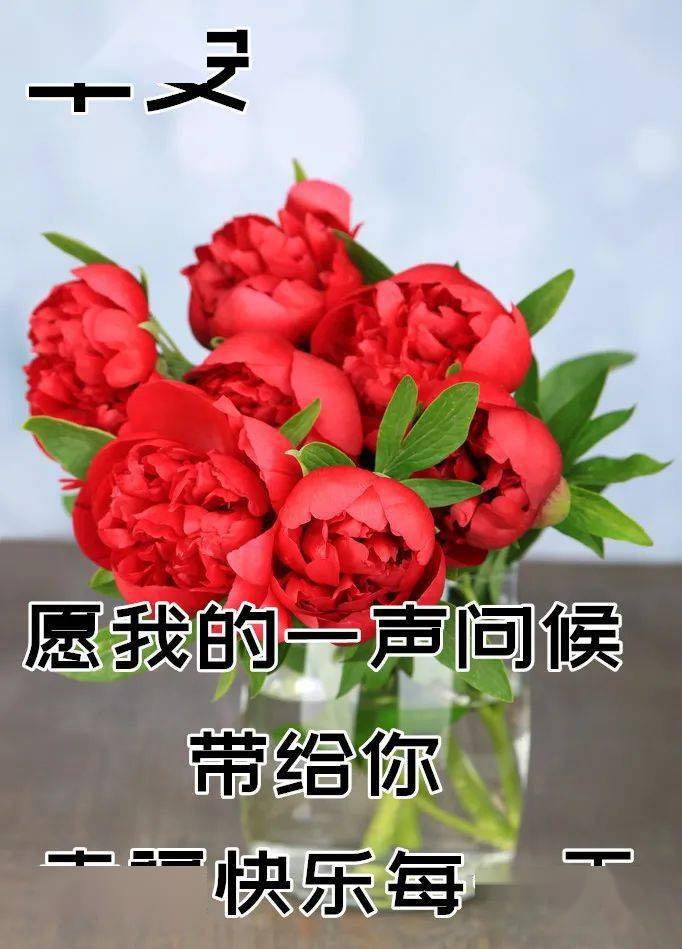 1月23日_月嫂_月经不调怎么办