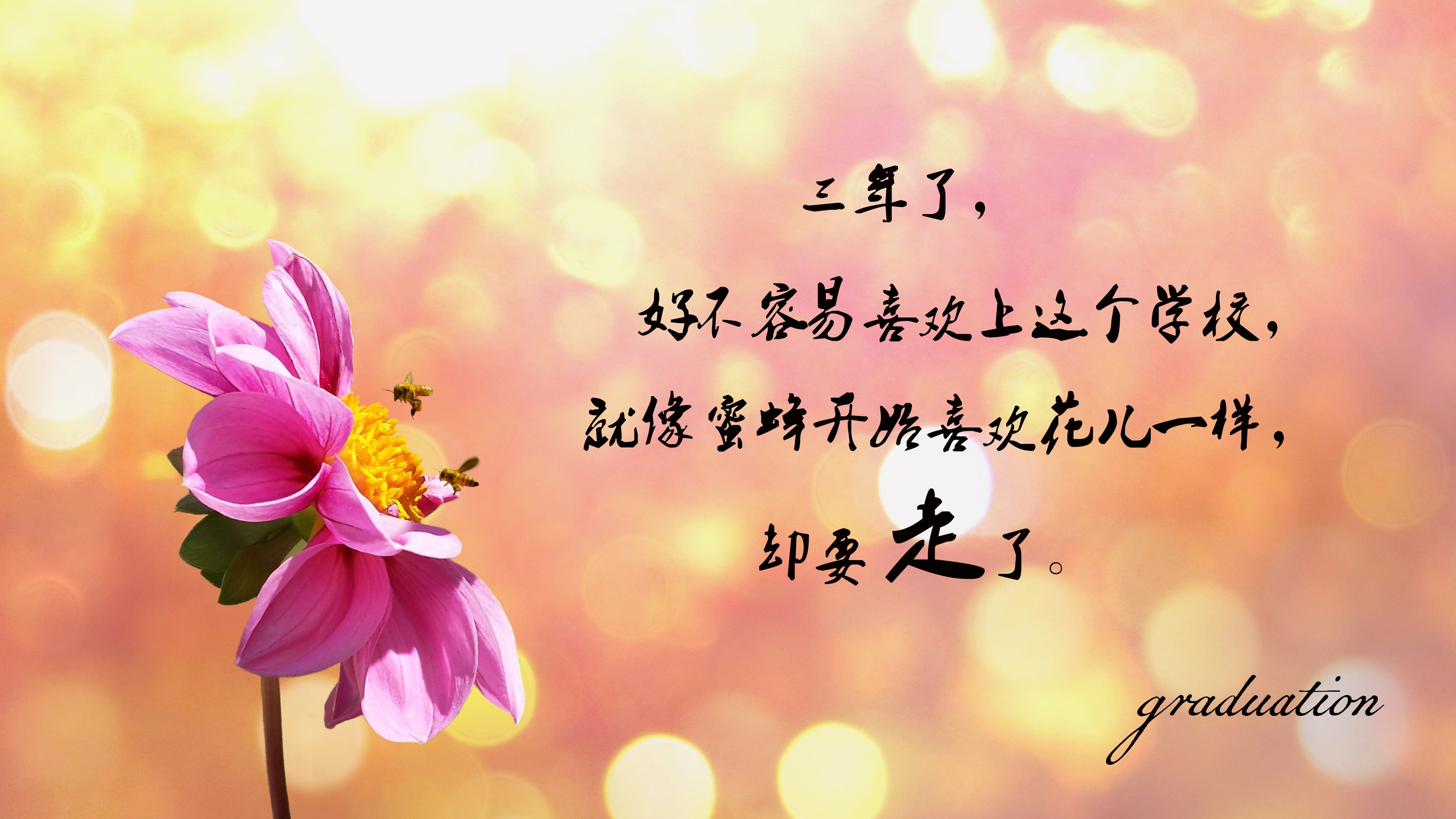 神代利世说的那句话_神代利世到底有什么身份_神代利世