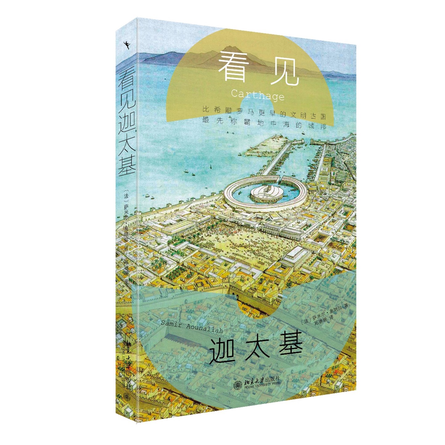 迦太基汉尼拔_迦太基人_迦太基