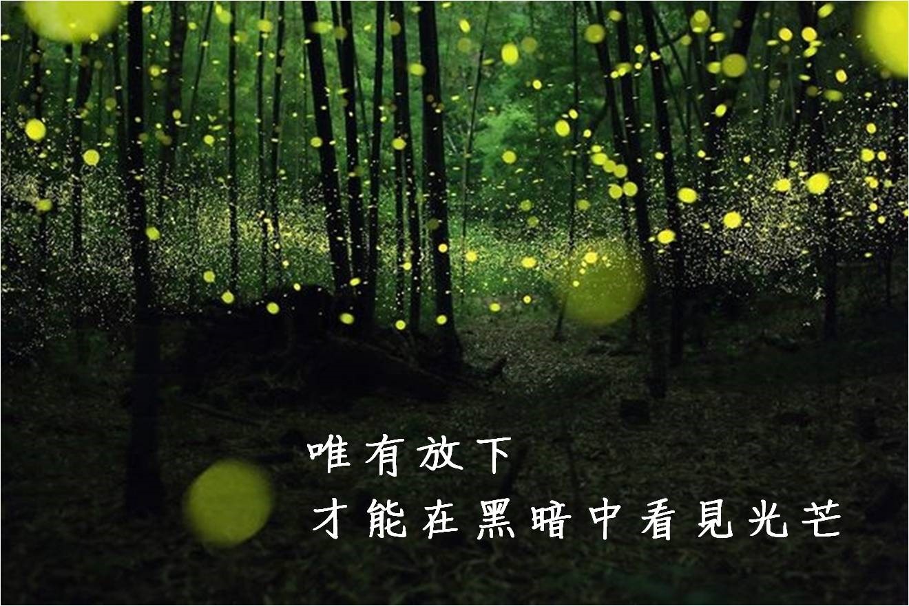 魔法科高中的劣等生评价_魔法科高中的劣等生百科_魔法科高中的劣等生