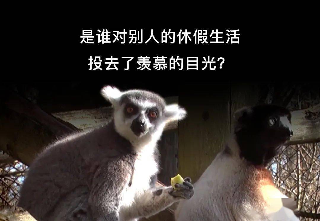 玩游戏开心的手机壁纸女_壁纸高清全屏开心_开心壁纸清新
