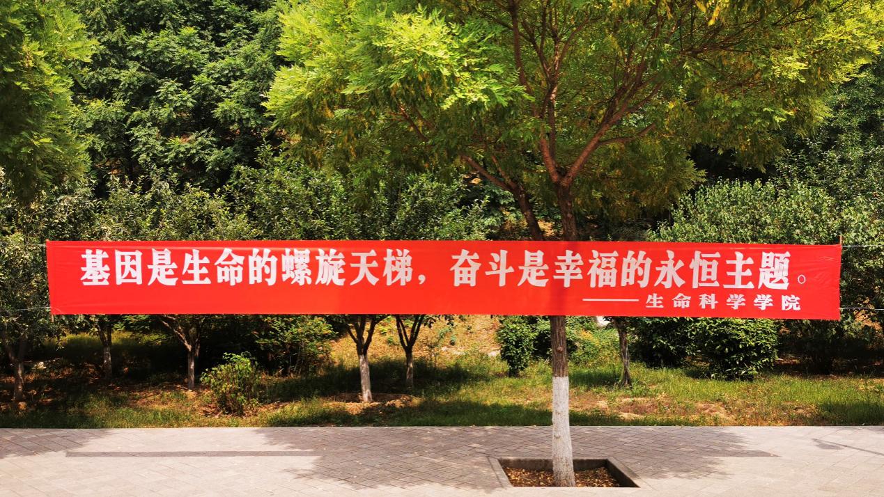 篠宫千明_篠宫千明_篠宫千明