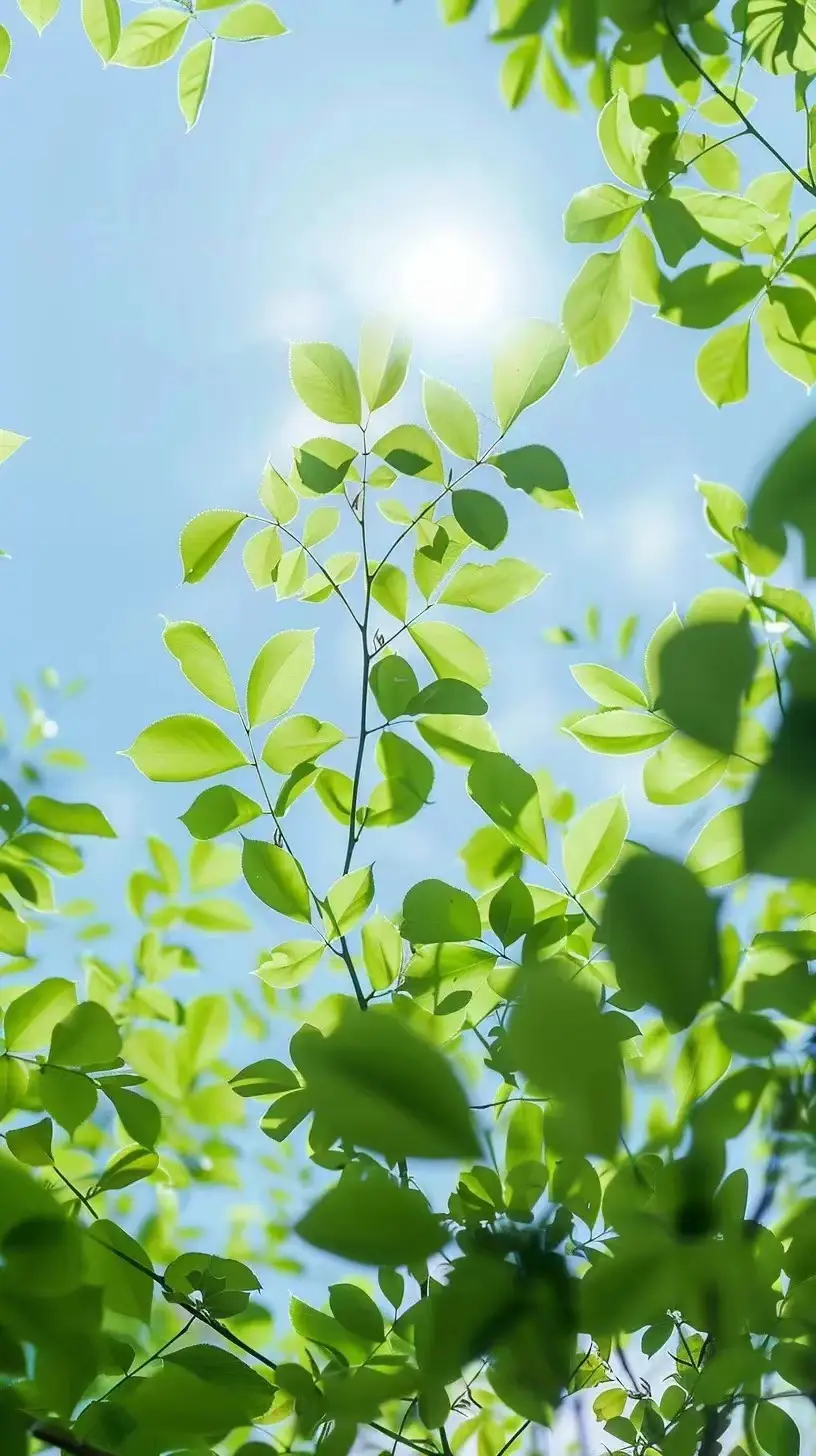 手工制作可以玩的手机_手工玩手机游戏怎么做_玩手工手机游戏