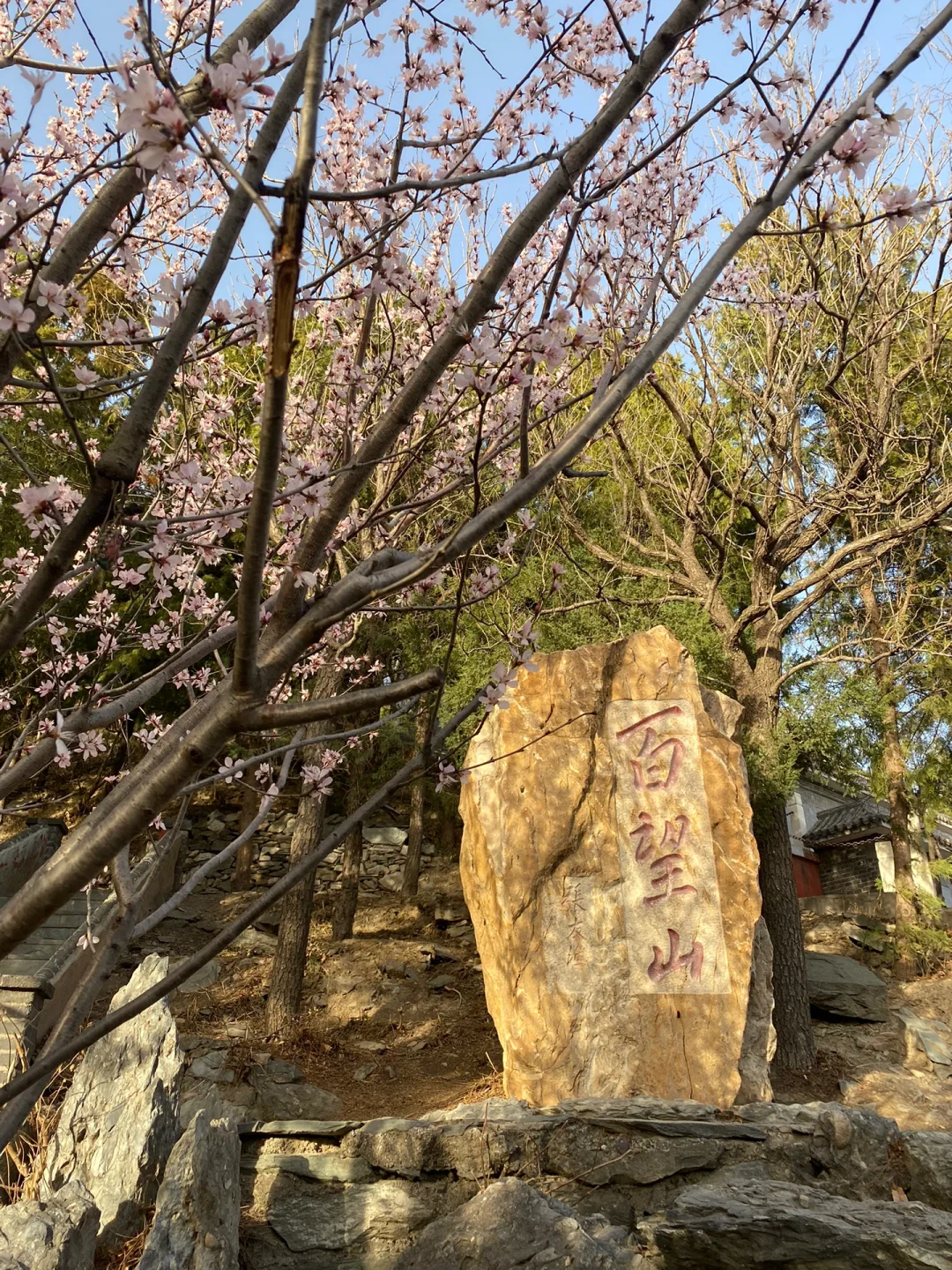 用手机玩百望山游戏_用手机玩百望山游戏_用手机玩百望山游戏