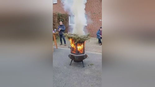 猫头鹰和灯塔 猫头鹰和灯塔