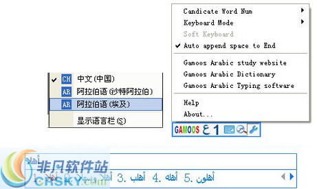  *** 语翻译 