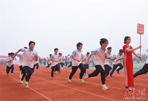 田径运动会2 