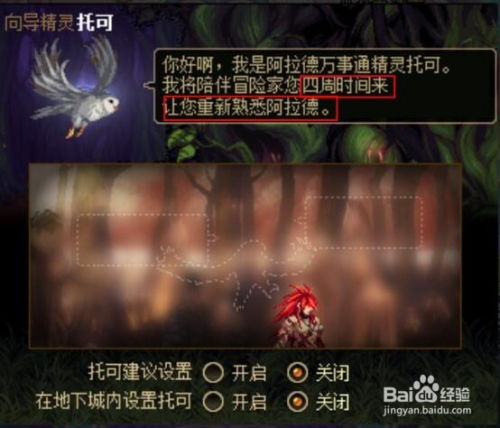 猫头鹰TV电视免会员版2024最新下载 