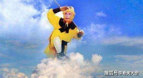 筋斗云影视app下载官网版 