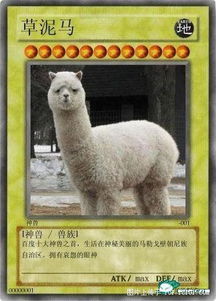 v10大佬(下载领皮肤) 