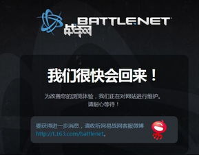 网维助手 