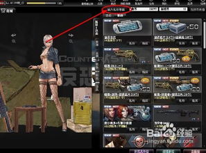 pubgtool新版本 