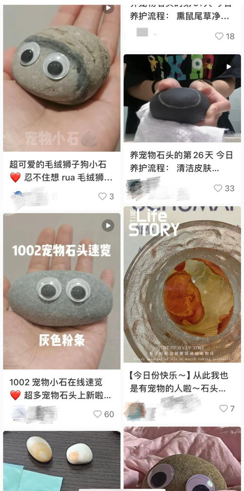 宠物翻译专家宠物翻译器免费下载v1.0.0最新版2024 宠物翻译专家宠物翻译器免费下载v1.0.0最新版2024
