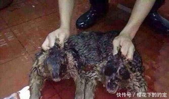 找到一切(Find)中文版手游手机下载安装 