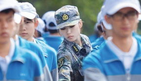campbuddy教官线下载 