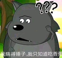 灰太狼影视下载安装 