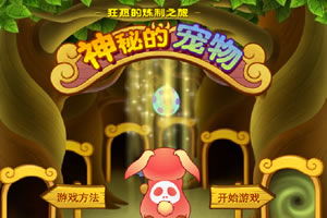 魔法宠物小游戏,奇幻冒险之旅