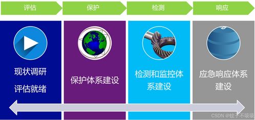 全脑开发专注力训练 