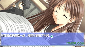 森之回响官方版 