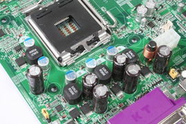 恐龙进化跑(DinoEvolutionRun3D)游戏2024最新版手机下载v0.1 