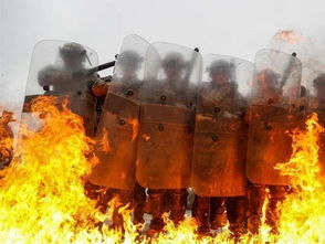 强制进入qq空间2021 